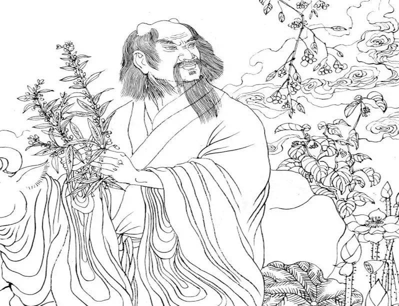 安康富硒茶雅集(安康富硒茶主要产自哪里)-硒宝网