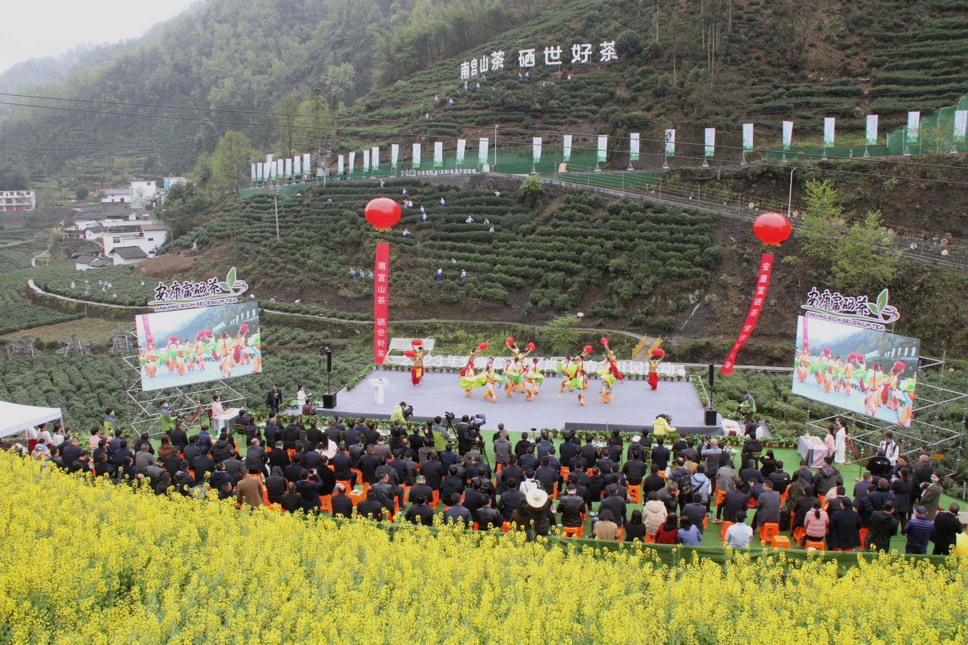 安康富硒茶产量(安康富硒茶发展情况)-硒宝网