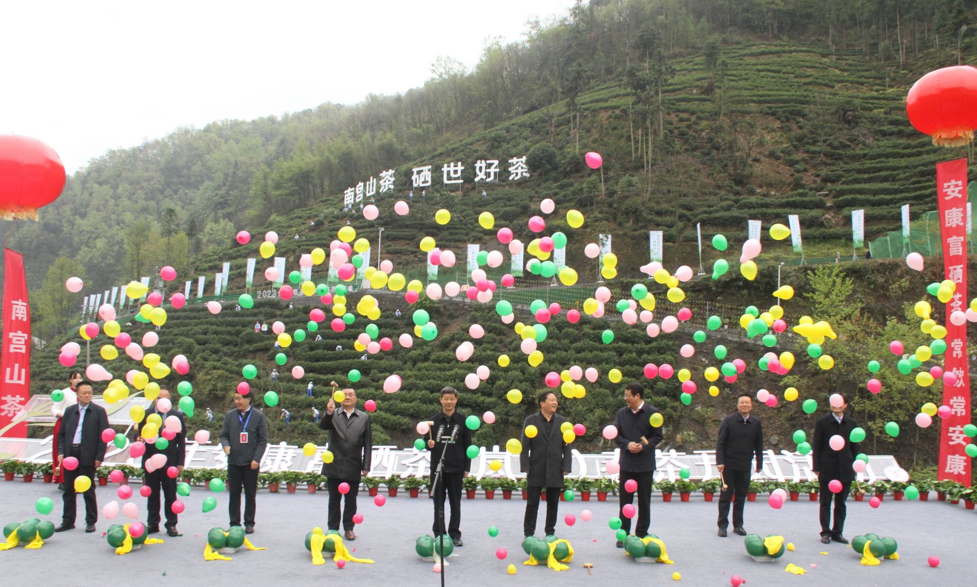 安康富硒茶产量(安康富硒茶发展情况)-硒宝网