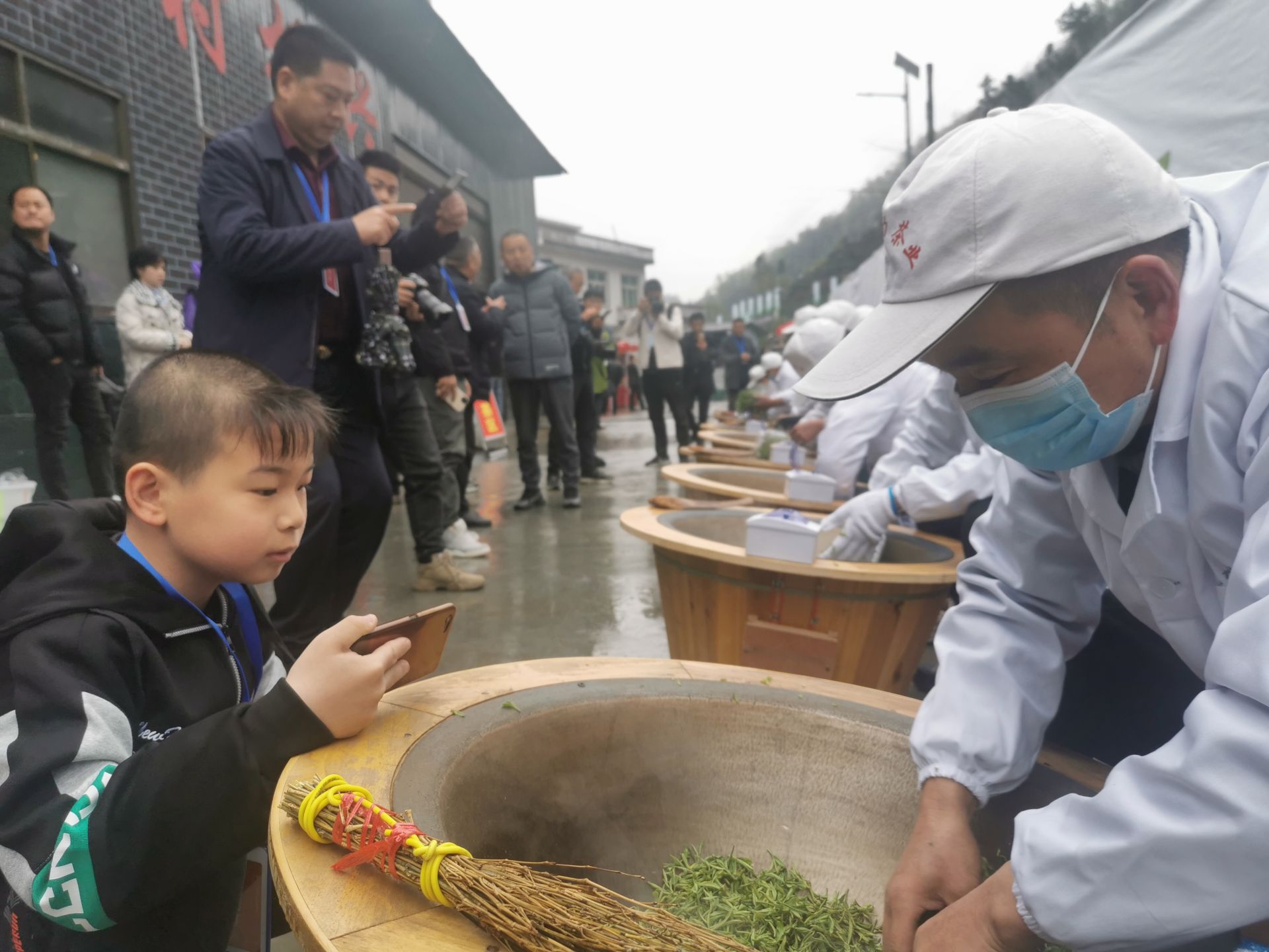 安康富硒茶产量(安康富硒茶发展情况)-硒宝网