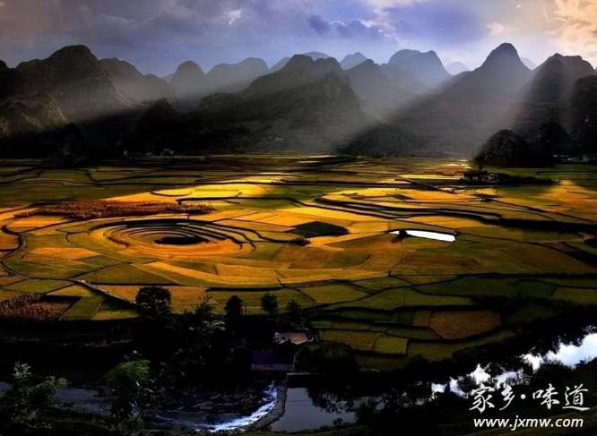 凤冈富硒茶种类(凤冈县富硒茶)-硒宝网