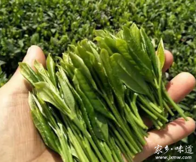 凤冈富硒茶种类(凤冈县富硒茶)-硒宝网