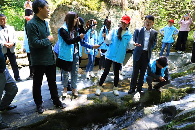 平利古道富硒茶(平昌富硒茶)-硒宝网