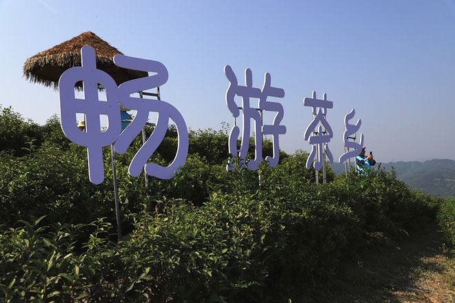 平利古道富硒茶(平昌富硒茶)-硒宝网