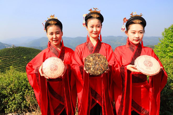 平利古道富硒茶(平昌富硒茶)-硒宝网