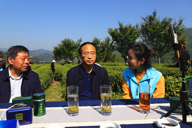 平利古道富硒茶(平昌富硒茶)-硒宝网