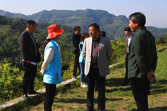 平利古道富硒茶(平昌富硒茶)-硒宝网