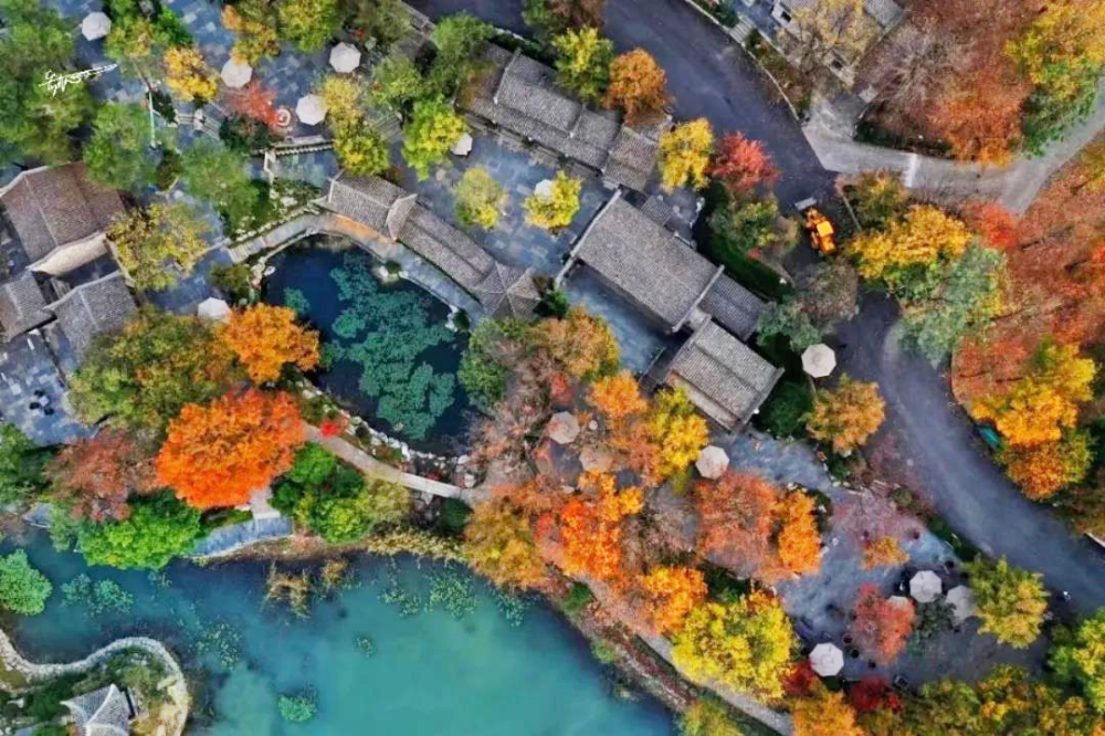 池州石台富硒茶（池州石台富硒村）-硒宝网