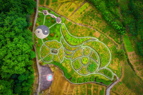 池州石台富硒茶（池州石台富硒村）-硒宝网