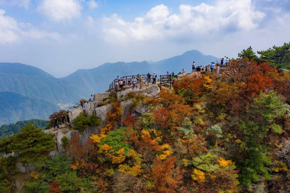 池州石台富硒茶（池州石台富硒村）-硒宝网