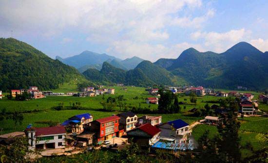 恩施富硒茶企业（恩施富硒茶产于什么地方）-硒宝网