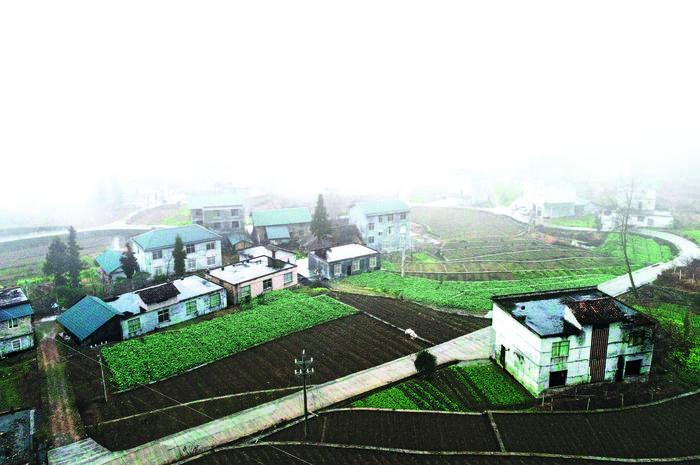 恩施富硒茶企业（恩施富硒茶产于什么地方）-硒宝网