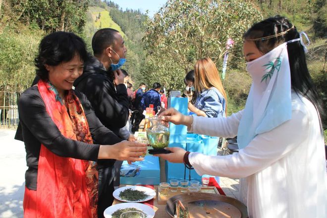 安康富硒茶网站（安康富硒茶主要产自哪里）-硒宝网