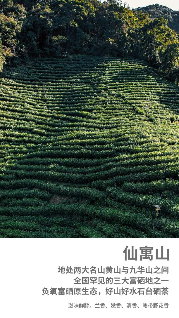 石台富硒茶文献(石台硒茶价格表一盒)-硒宝网