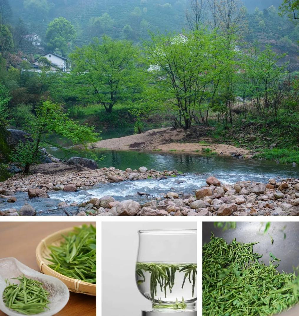 石台富硒茶文献(石台硒茶价格表一盒)-硒宝网