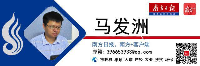 福建富硒乌龙茶（福建乌龙茶富硒含量多少）-硒宝网