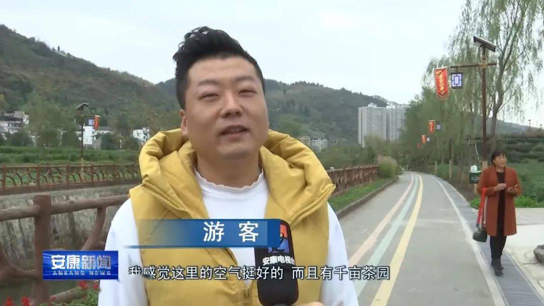 蒿坪富硒茶特点(嵩坪富硒茶)-硒宝网