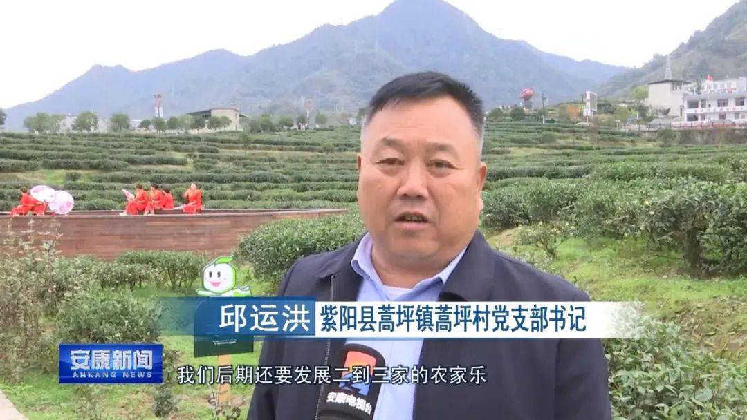 蒿坪富硒茶特点(嵩坪富硒茶)-硒宝网