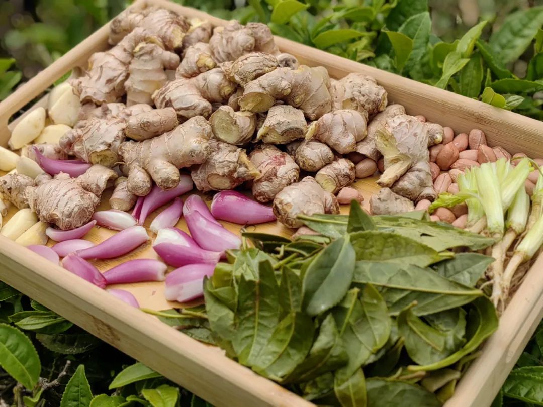 玉林葵峰富硒茶(恩施玉露富硒茶)-硒宝网