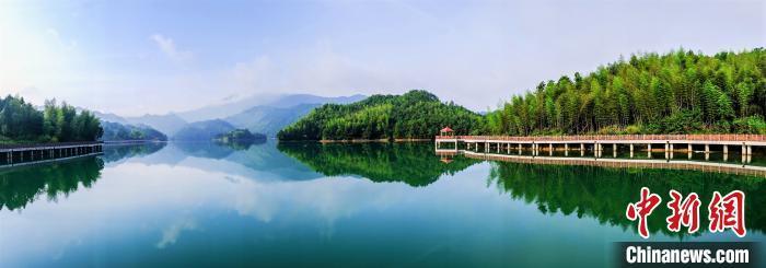 福建富硒乌龙茶（富硒乌龙茶多少钱一斤）-硒宝网