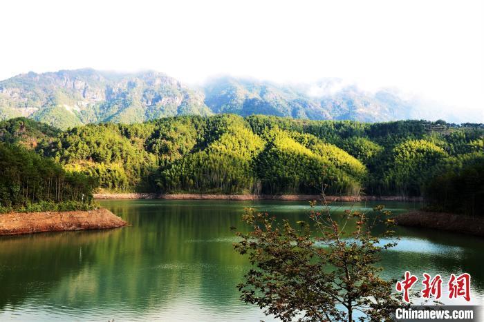 福建富硒乌龙茶（富硒乌龙茶多少钱一斤）-硒宝网