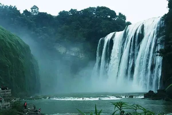 开阳富硒制茶师(开阳富硒茶多少钱一斤)-硒宝网