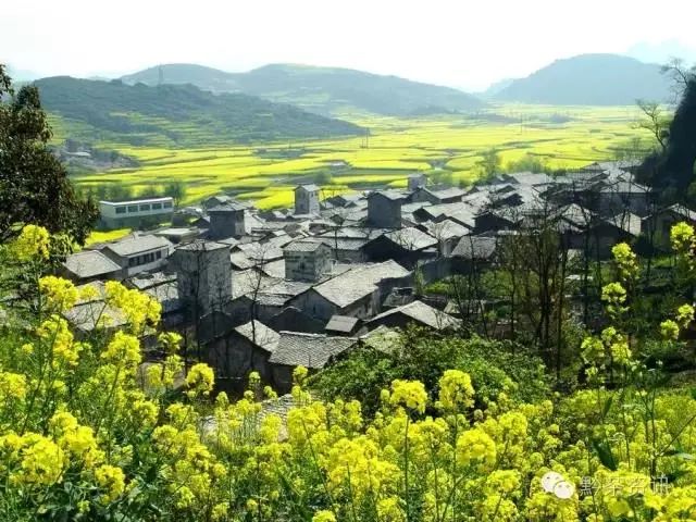 开阳富硒制茶师(开阳富硒茶多少钱一斤)-硒宝网