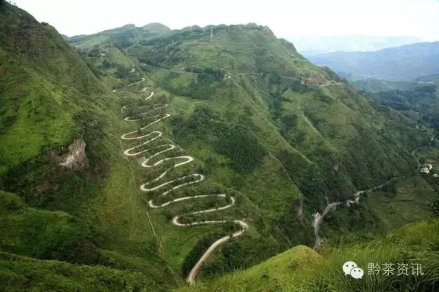 开阳富硒制茶师(开阳富硒茶多少钱一斤)-硒宝网