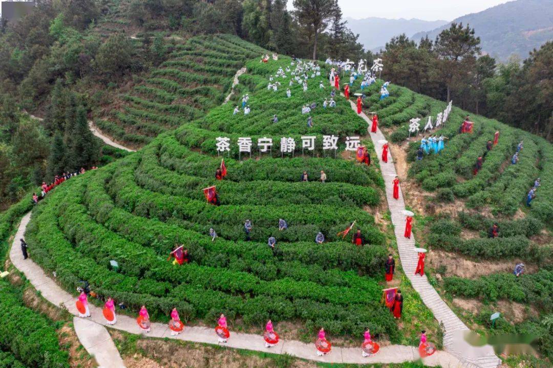 四川宜宾富硒茶(宜宾富硒大米)-硒宝网