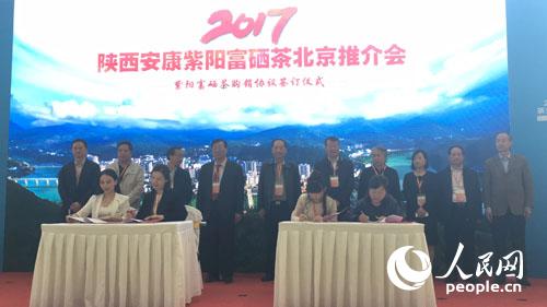 紫阳富硒茶官网（紫阳富硒茶盒装的价格与作用）-硒宝网