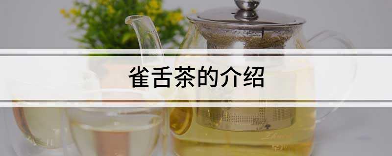 维竹富硒雀舌茶(江西明月山富硒竹酒)-硒宝网