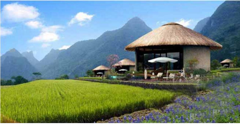 大道河镇富硒茶(恩施玉露富硒茶)-硒宝网