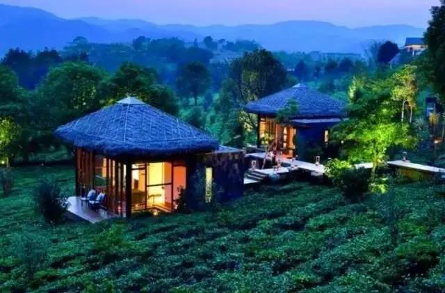 大道河镇富硒茶(恩施玉露富硒茶)-硒宝网