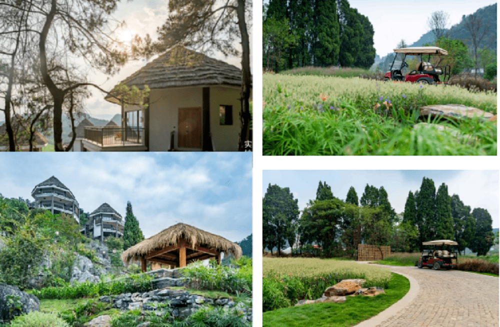 大道河镇富硒茶(恩施玉露富硒茶)-硒宝网