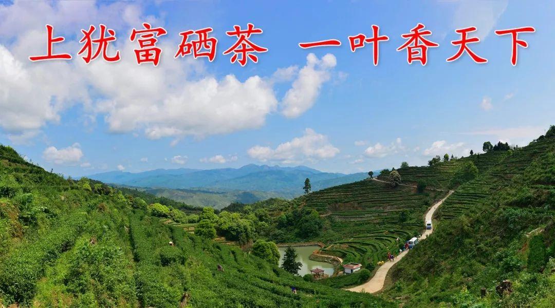 富硒茶含多少硒(含硒的茶叶对人有哪些好处)-硒宝网