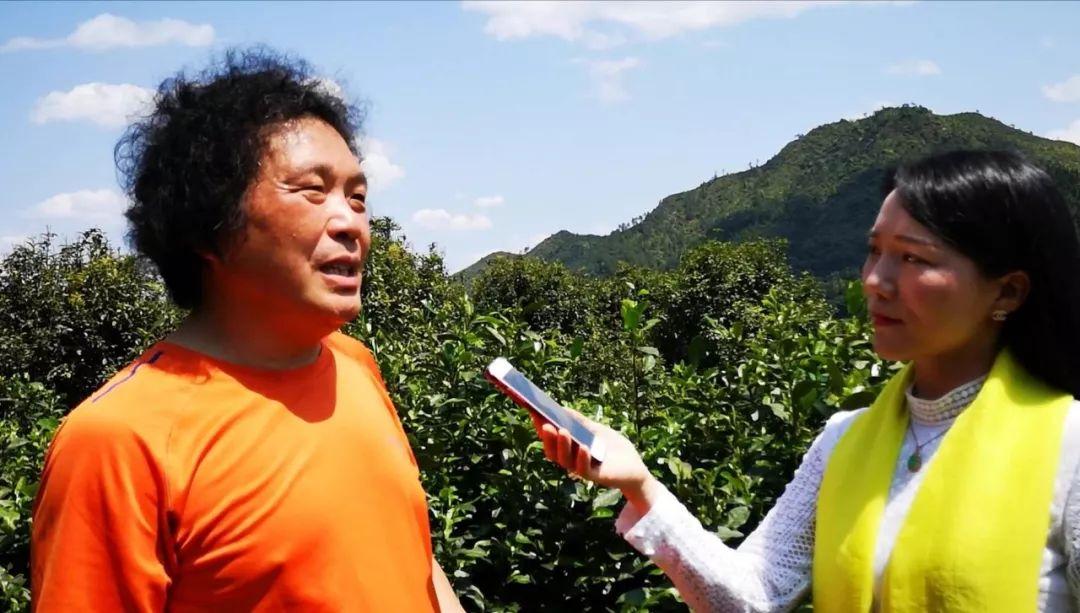 富硒茶含多少硒(含硒的茶叶对人有哪些好处)-硒宝网