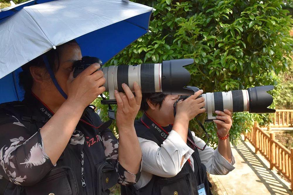 富硒茶含多少硒(含硒的茶叶对人有哪些好处)-硒宝网