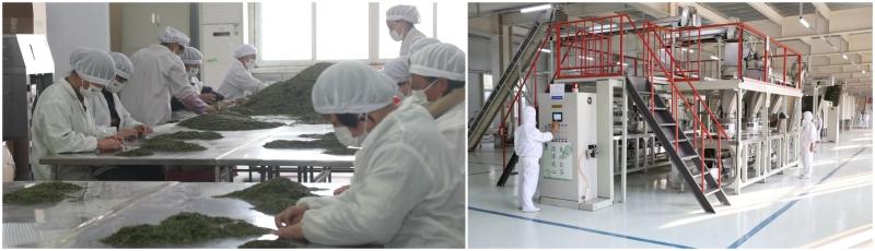 陕西富硒茶简介(陕西富硒茶叶)-硒宝网