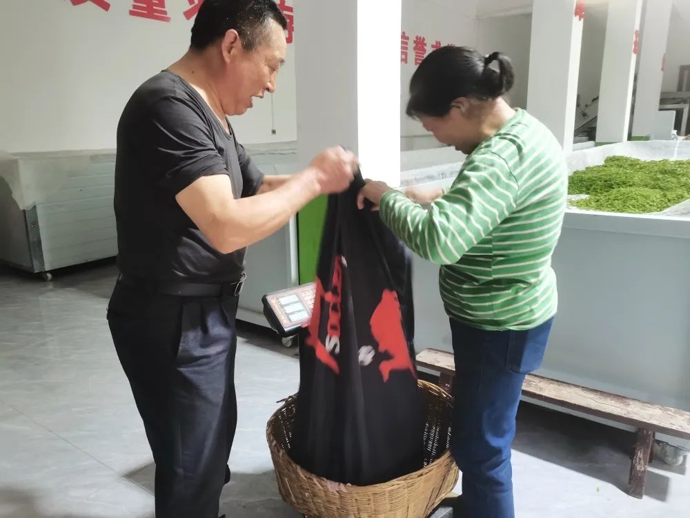 富硒茶是否含硒(茶含富硒是否硒元素多)-硒宝网