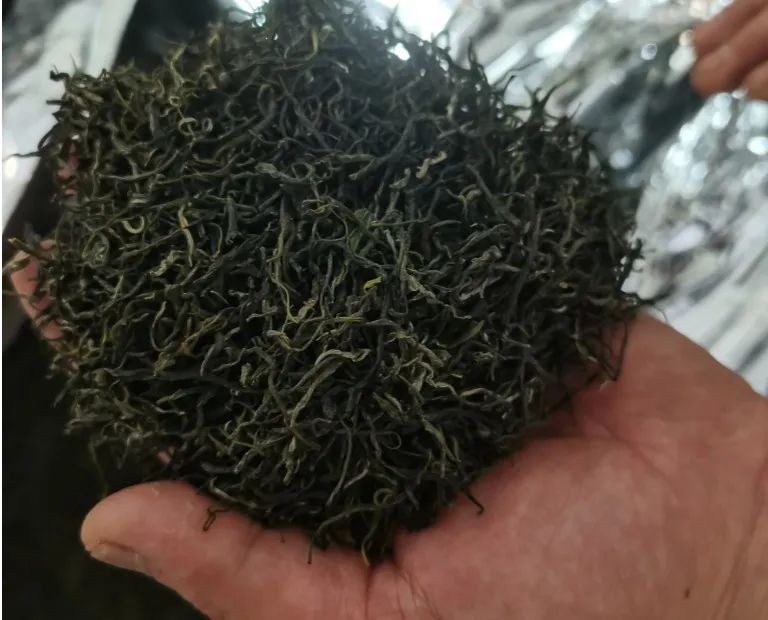 富硒茶是否含硒(茶含富硒是否硒元素多)-硒宝网