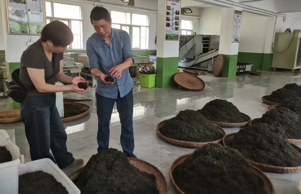 富硒茶是否含硒(茶含富硒是否硒元素多)-硒宝网