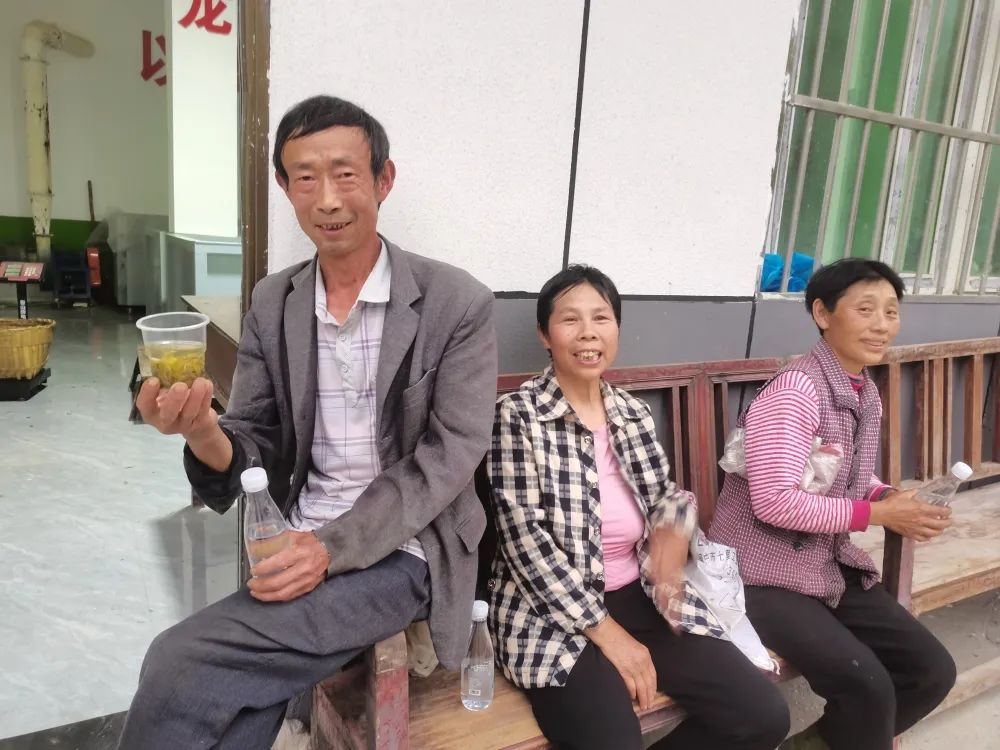 富硒茶是否含硒(茶含富硒是否硒元素多)-硒宝网