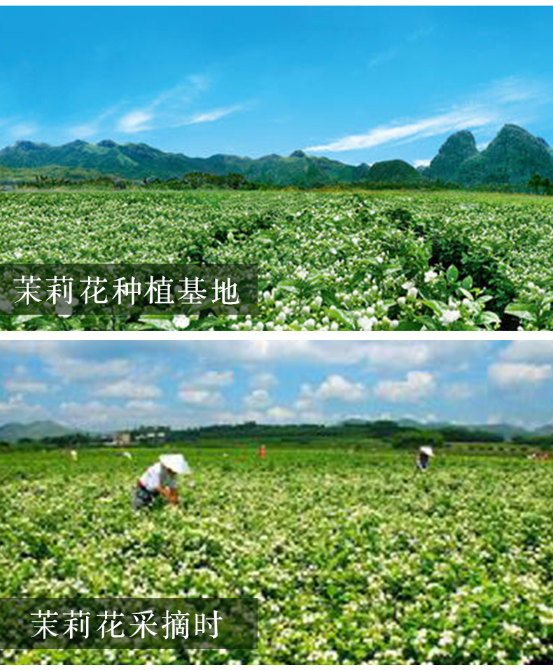 2021富硒茶(茶叶富硒)-硒宝网