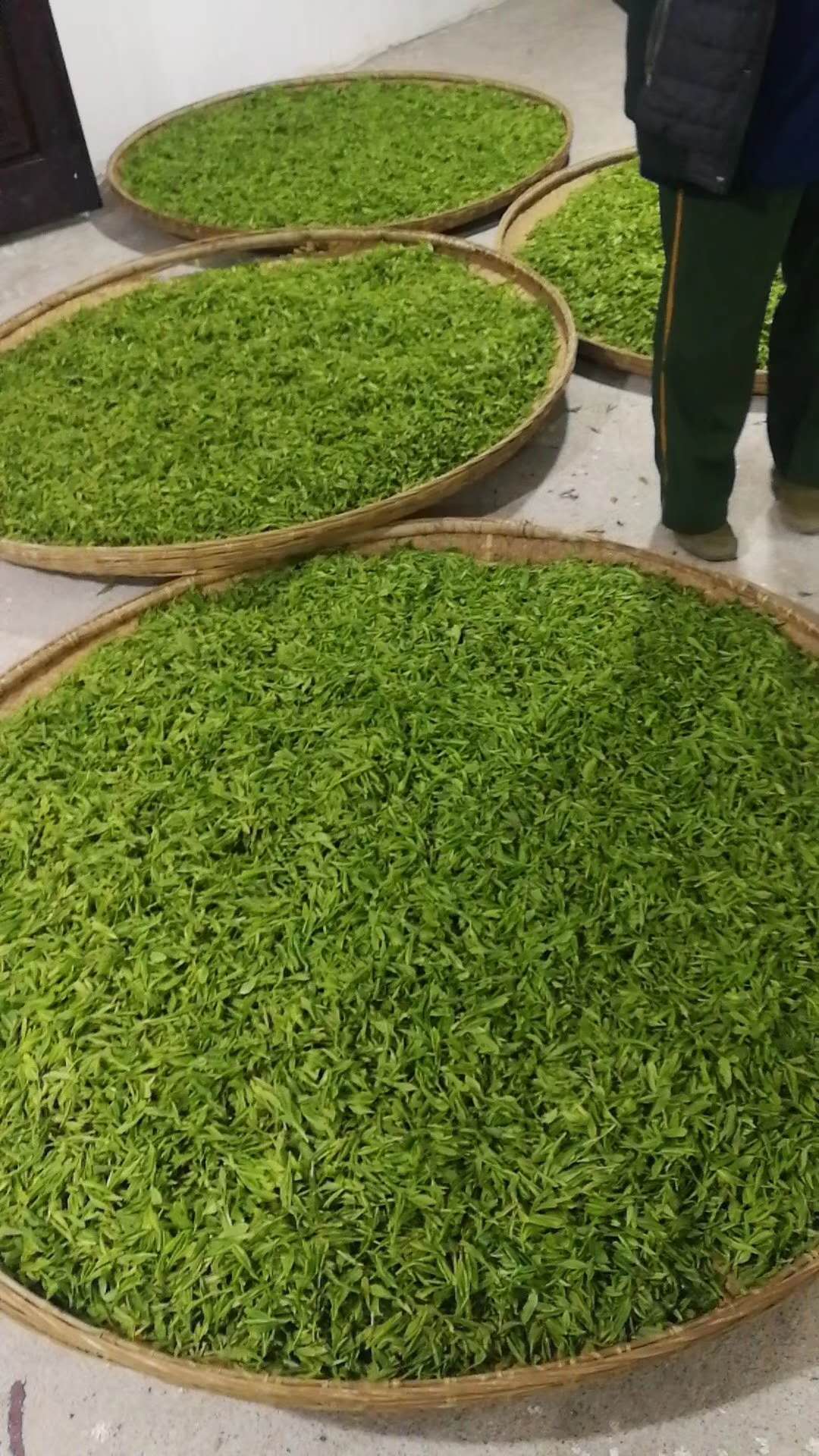 霄坑五队富硒茶（霄坑富硒茶多少钱一斤）-硒宝网
