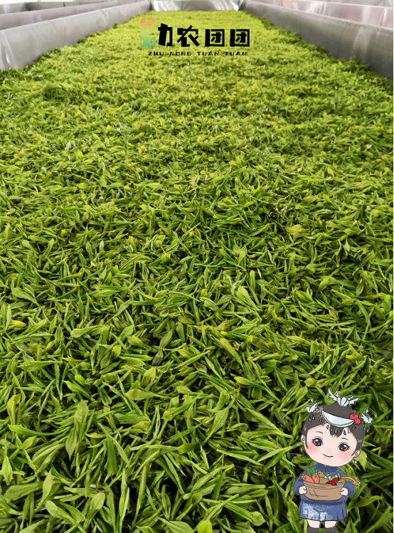 富硒茶硒量标准(茶量标准富硒硒是多少)-硒宝网