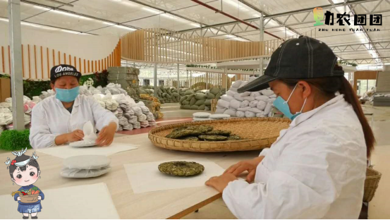 富硒茶硒量标准(茶量标准富硒硒是多少)-硒宝网