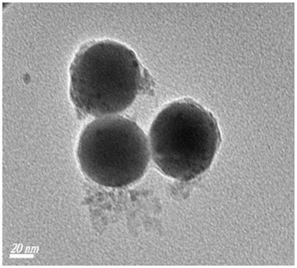 富锌富硒茶功效(富硒茶和普通茶的区别)-硒宝网