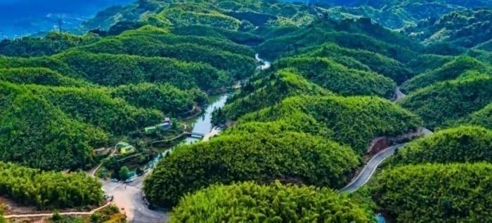 四川富硒茶产业（四川富硒产品质检中心）-硒宝网