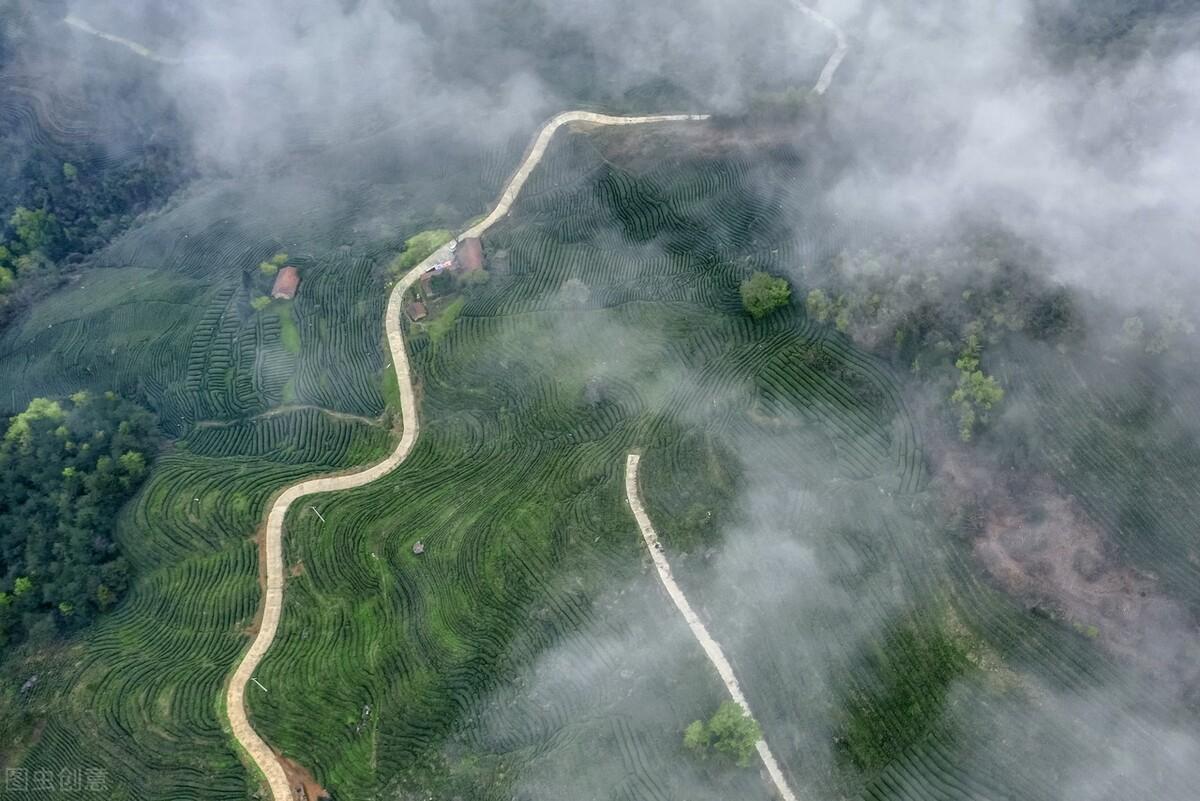 富硒茶含硒标准（茶含标准富硒硒是什么）-硒宝网