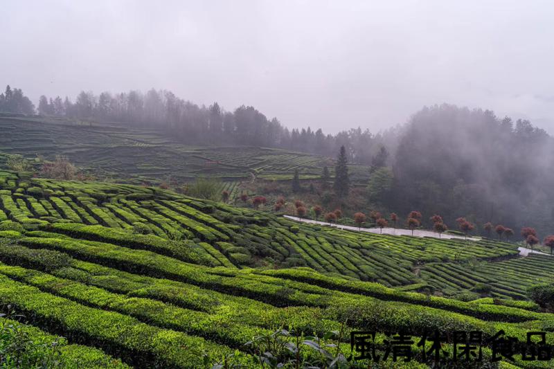 恩施富小硒富茶(恩施富硒茶500克价格)-硒宝网